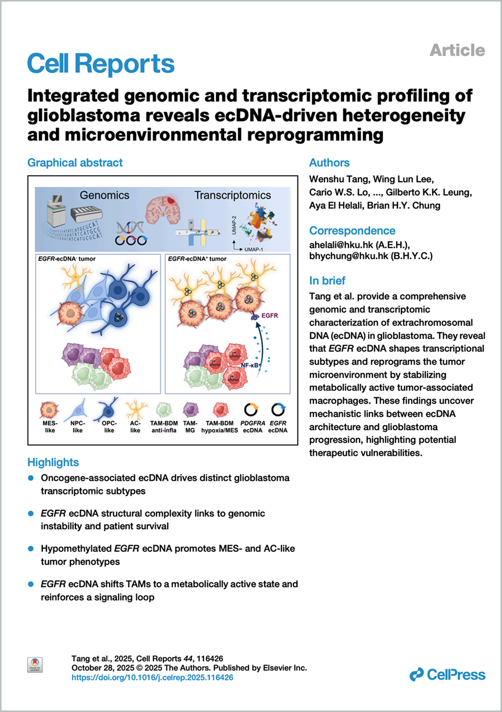 Integrated genomic and transcriptomic profiling of glioblastoma reveals ecDNA-driven heterogeneity and microenvironmental reprogramming (只提供英文版本)
