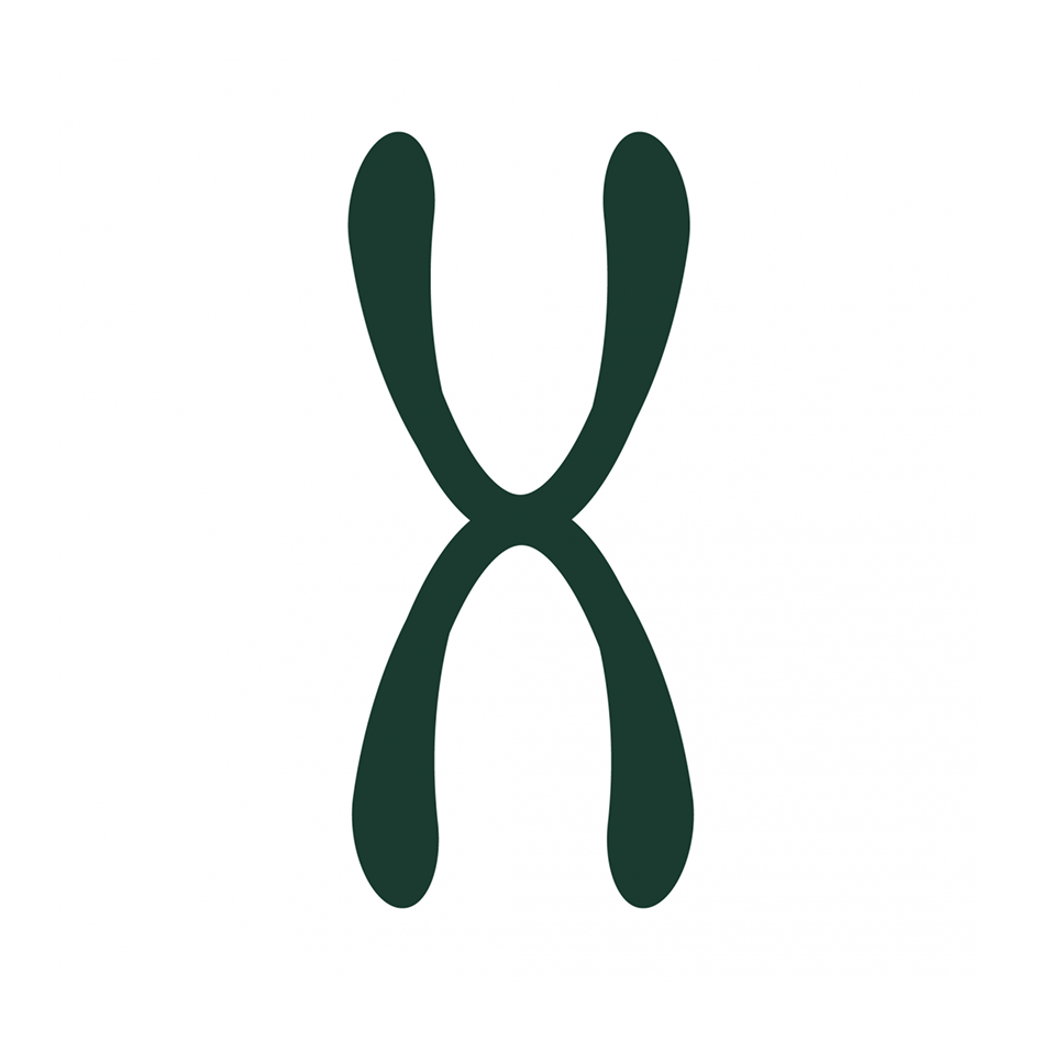 Frame 1000003940 (2).png