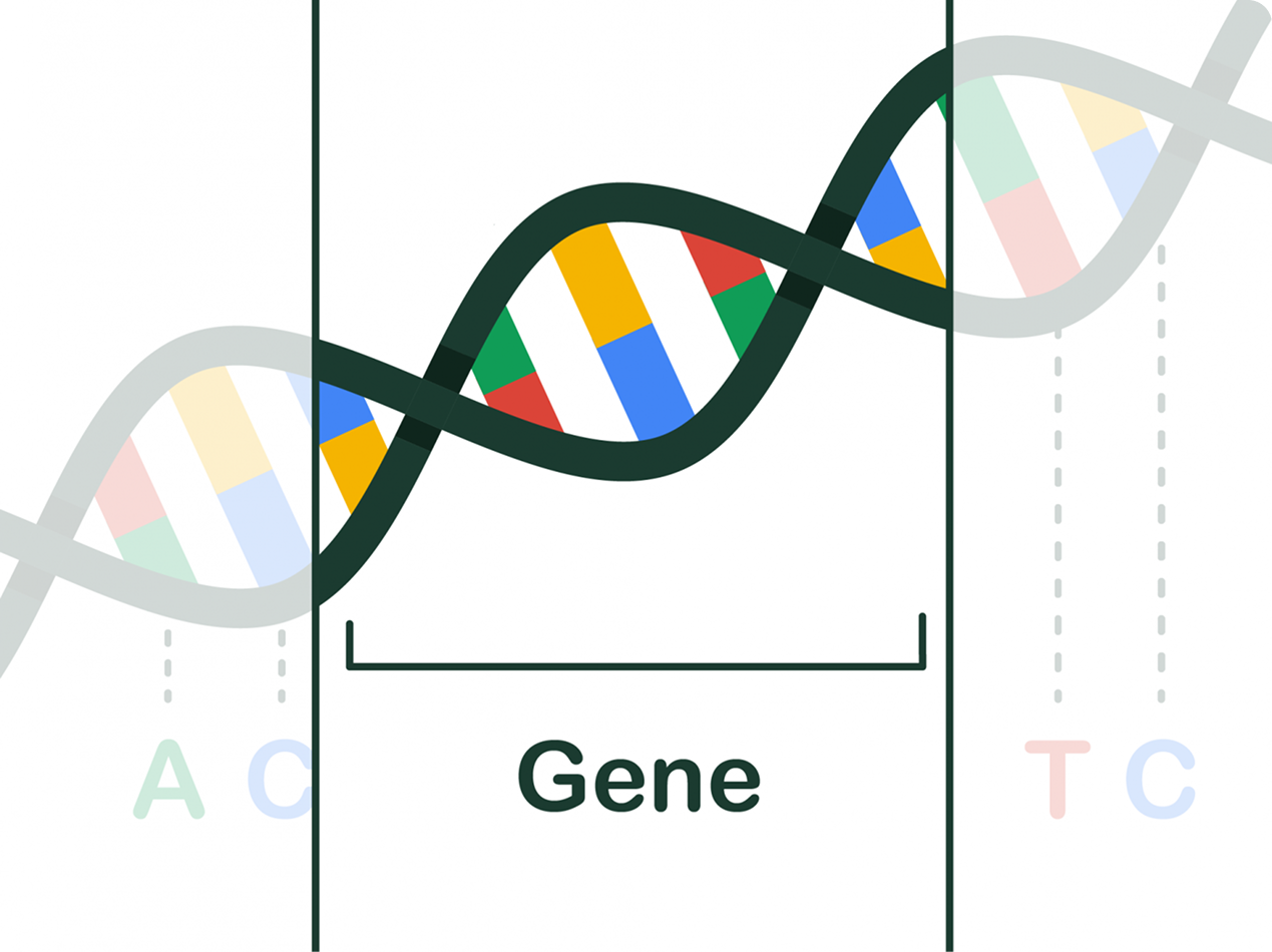 Img Placeholder (5).png