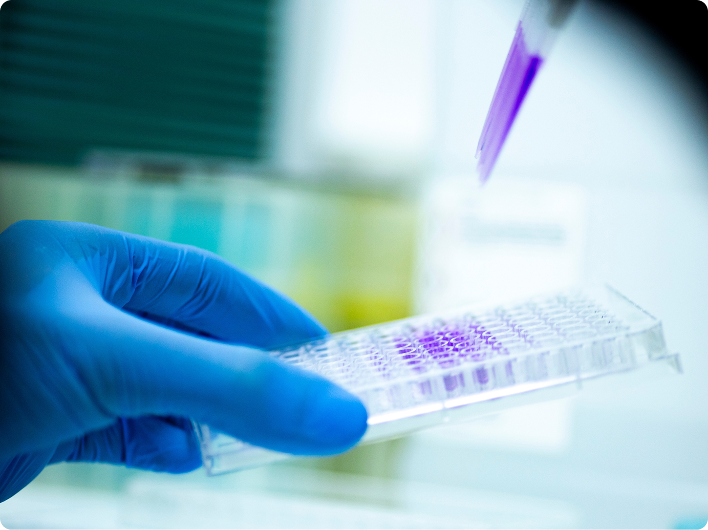 Img Placeholder (1).png